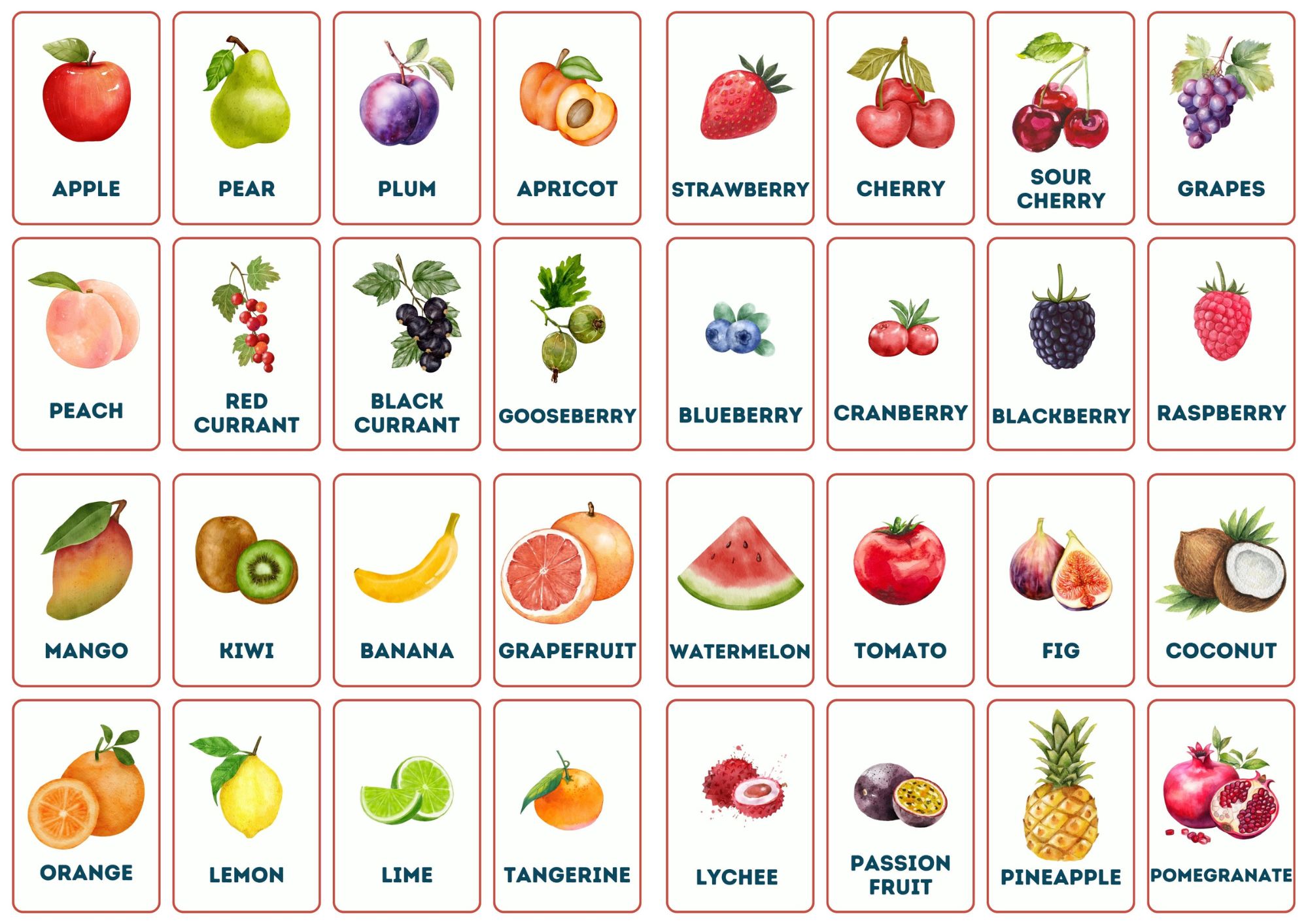 All Fruits Names in English and Their Pictures - ilmish